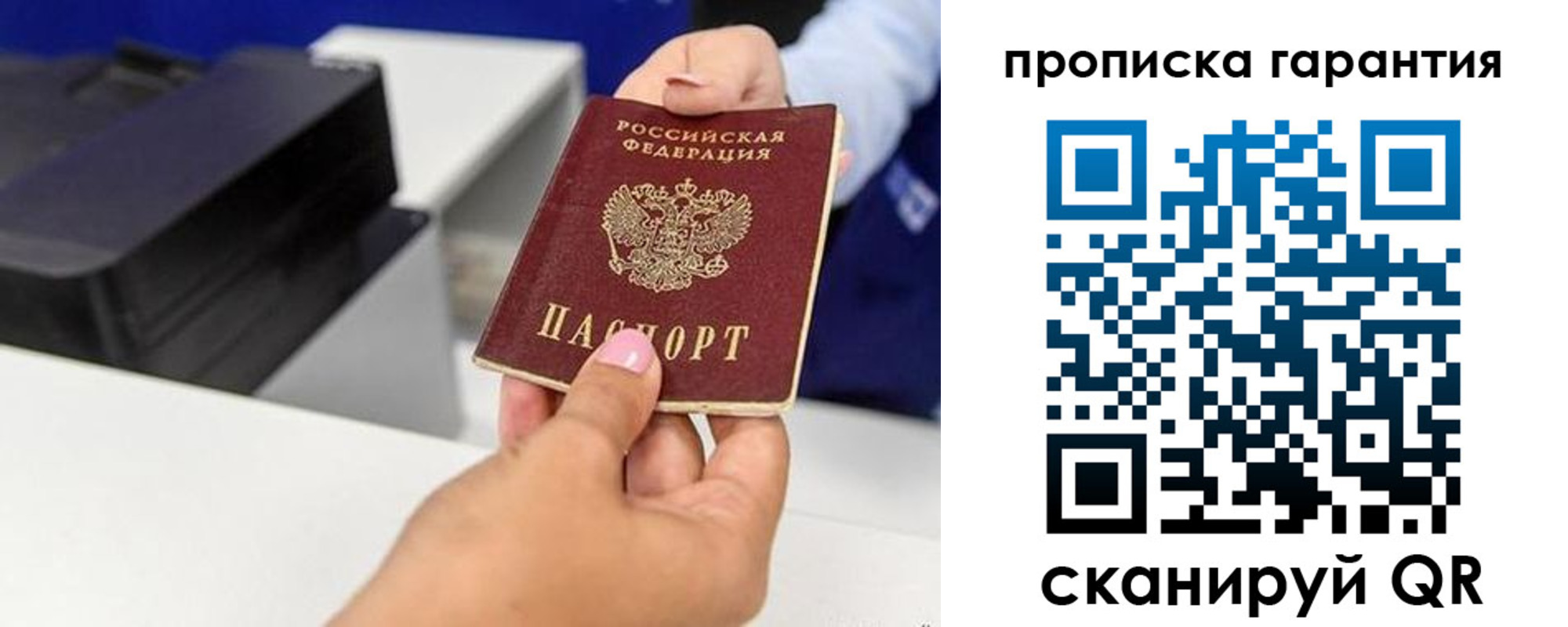 где прописаться в Коле