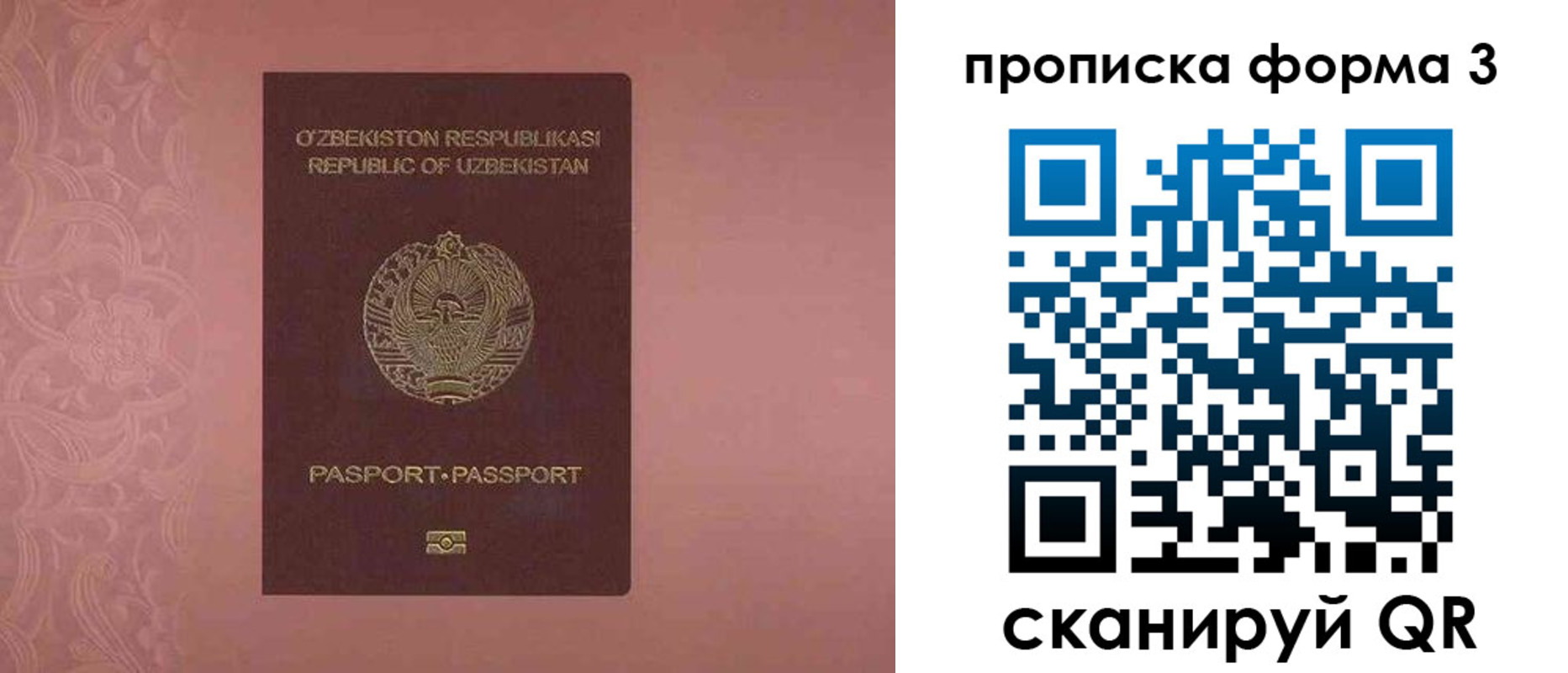 регистрация в Коле